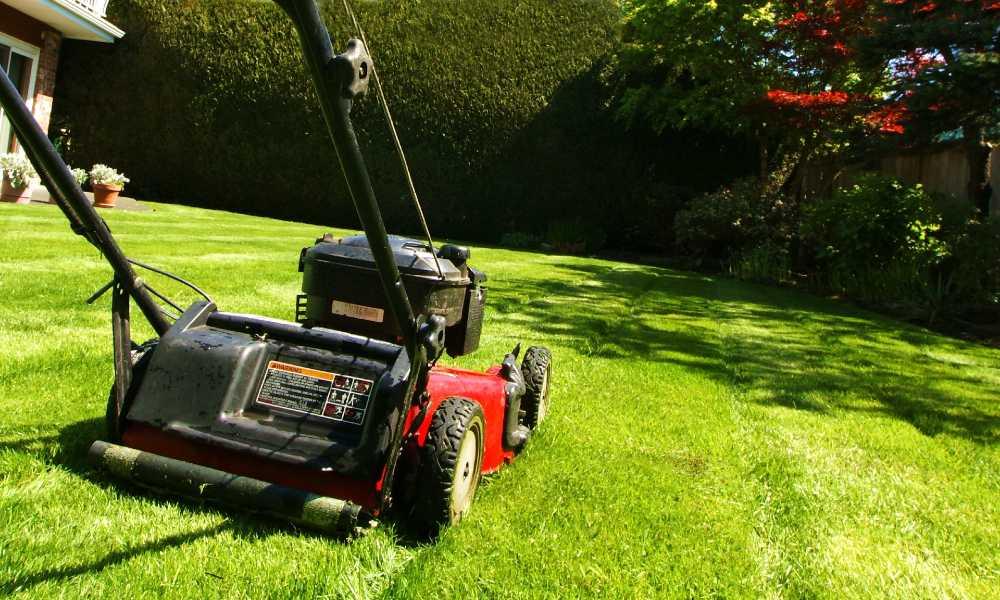 Tarif contrat entretien jardin